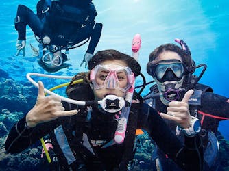 Essayez l’expérience de plongée sous-marine à Madère